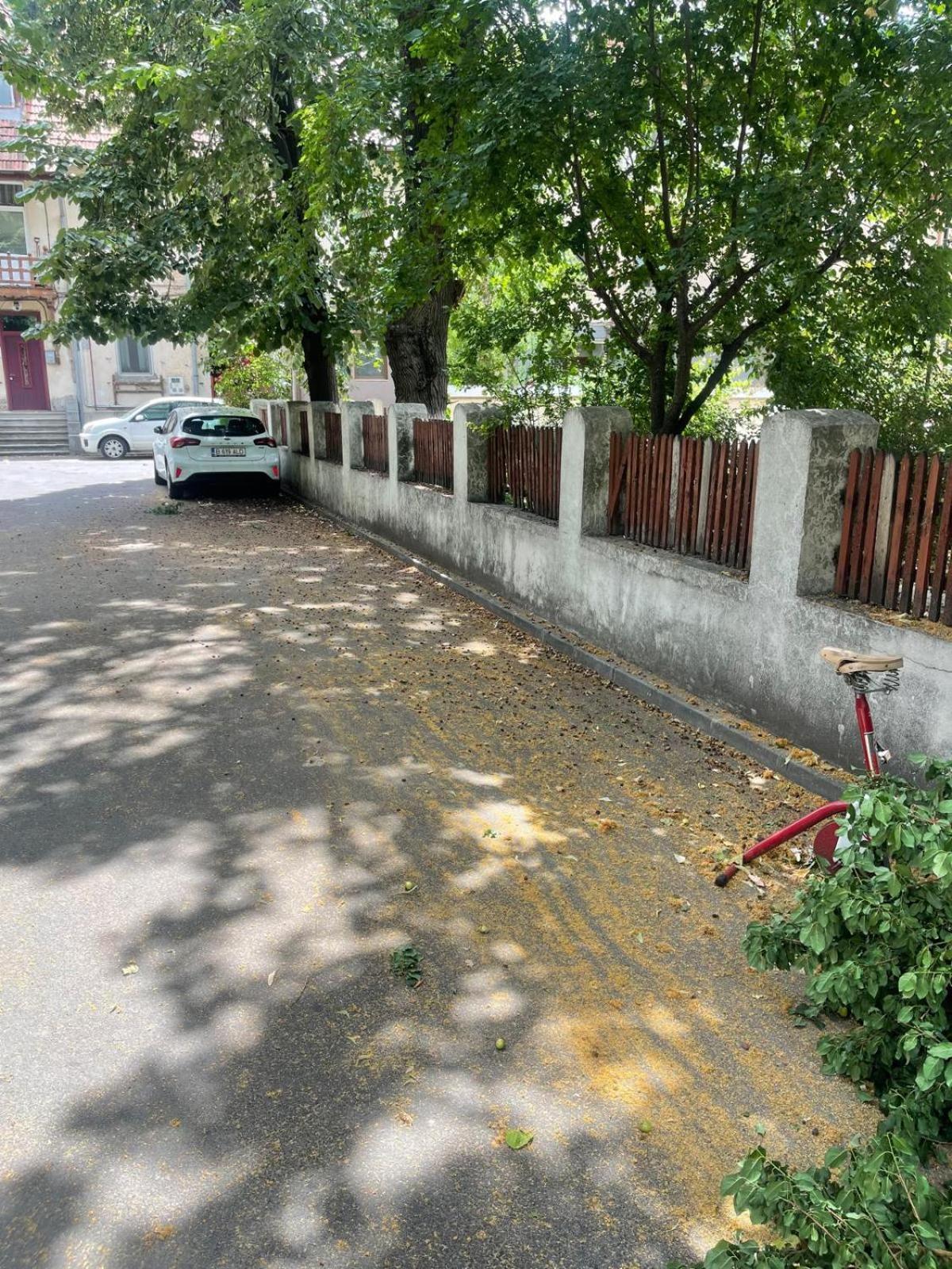 Prime 3 Διαμέρισμα Βουκουρέστι Εξωτερικό φωτογραφία